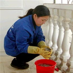 一帆家政服務產(chǎn)品介紹及健身服務整合方案